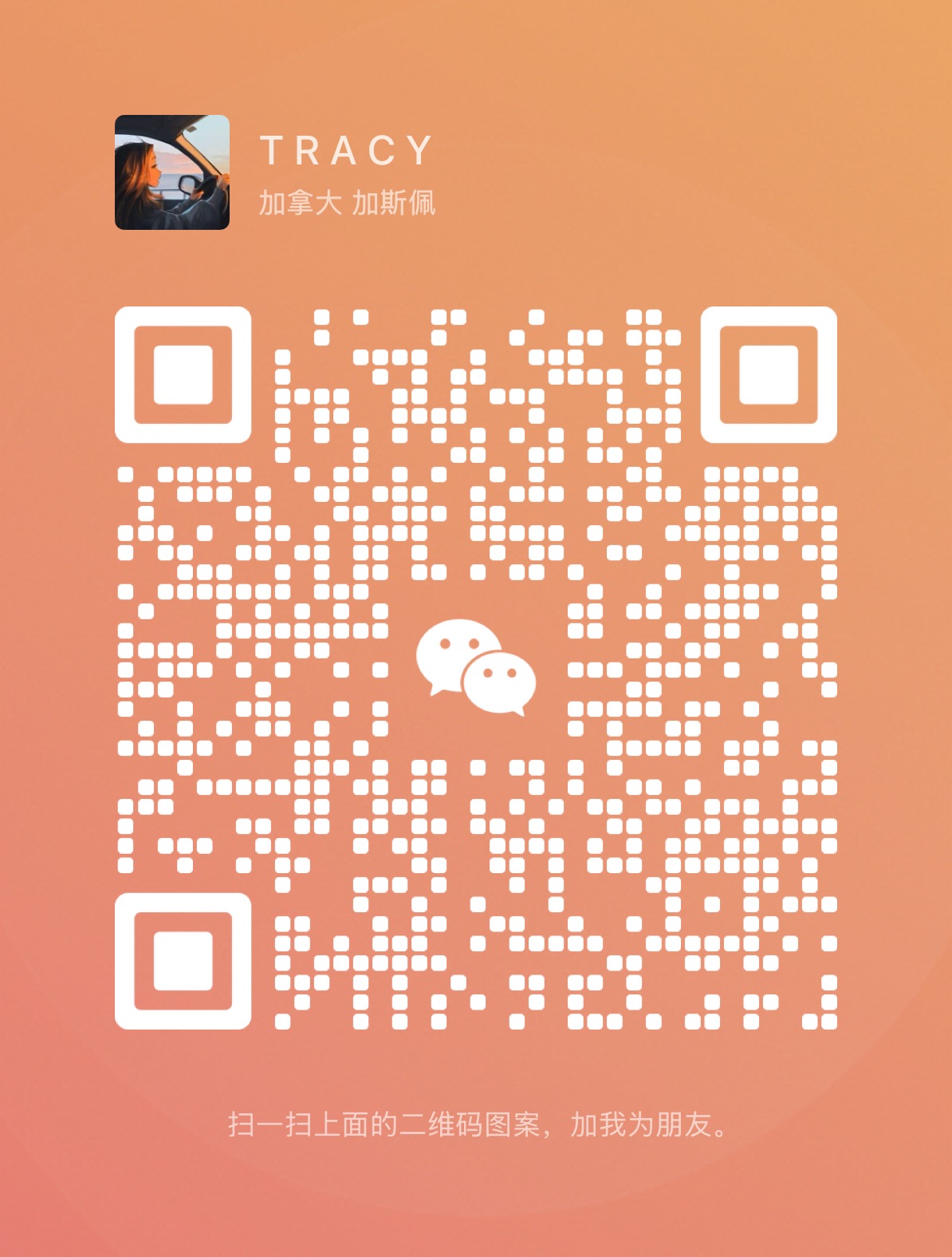 the qr code